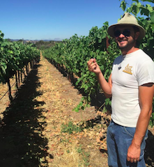 Image of John Evan Marion in a vineyard.
